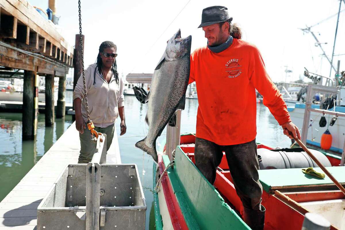 Joshua Gift and Erica Clarkson unload their catch of salmon from the fishing boat “Doris” at H&H Fish in Santa Cruz, after the beginning of the season this month. The commercial California salmon season has been strictly curtailed this season to protect wild salmon that go back upriver to spawn, yet warm water temperatures in their spawning areas might kill off the eggs this year.