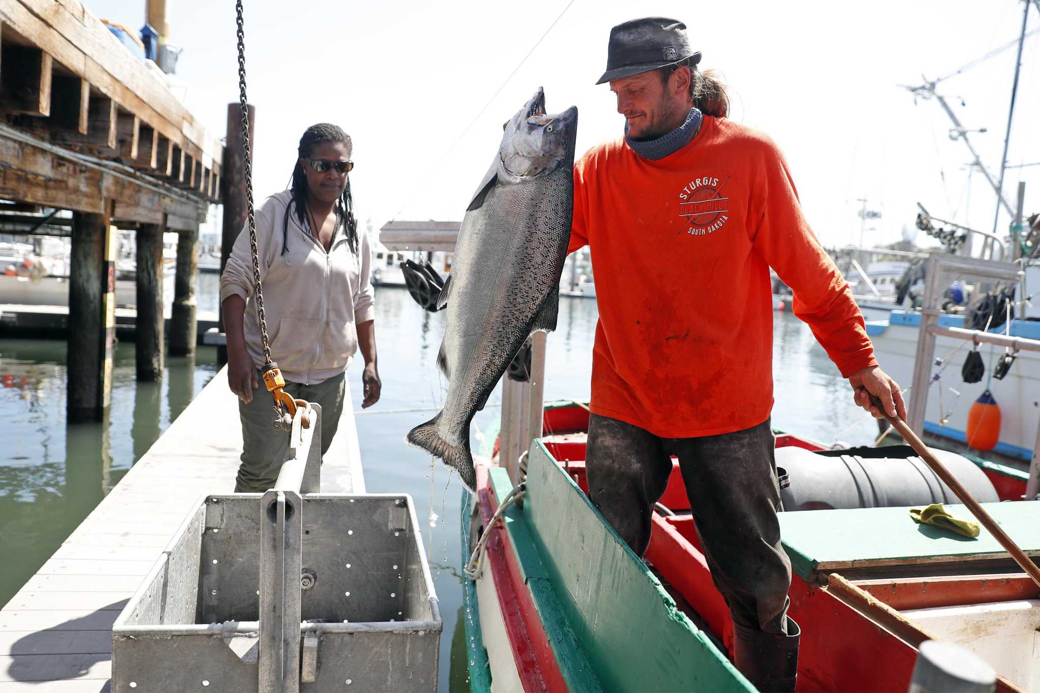Fishing limits, choppy weather gets California salmon season off to slow - and expensive - Vimarsana News