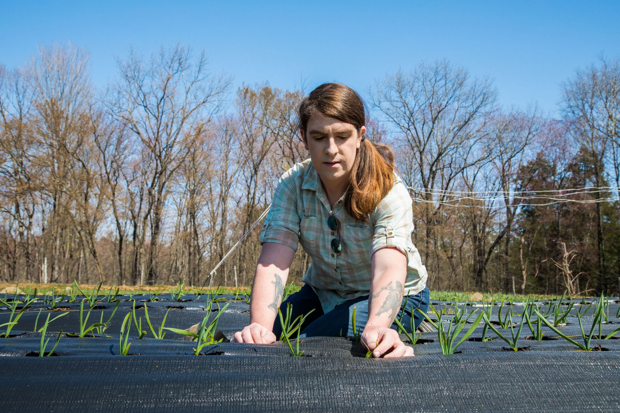 One farmer's barter for Hudson Valley farmland - Vimarsana News