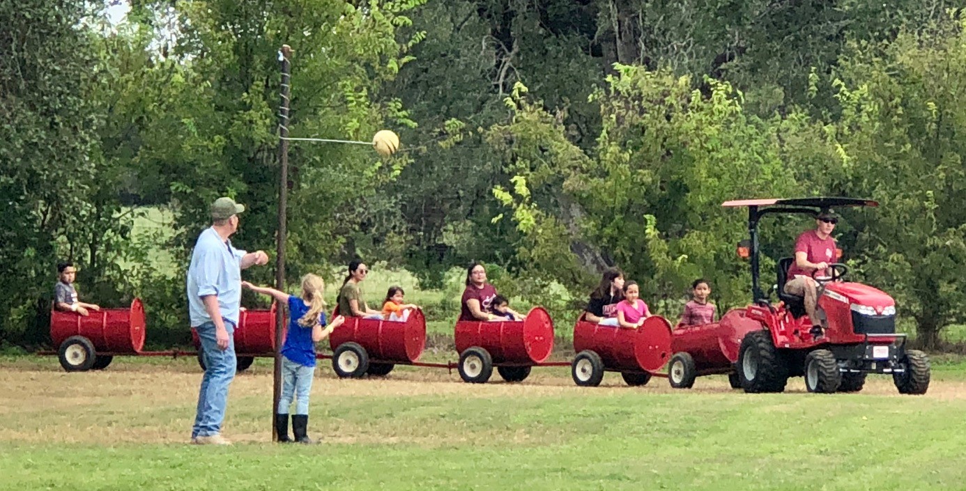 San Antonio area farm to host first-ever BloomFest this Spring - Vimarsana News