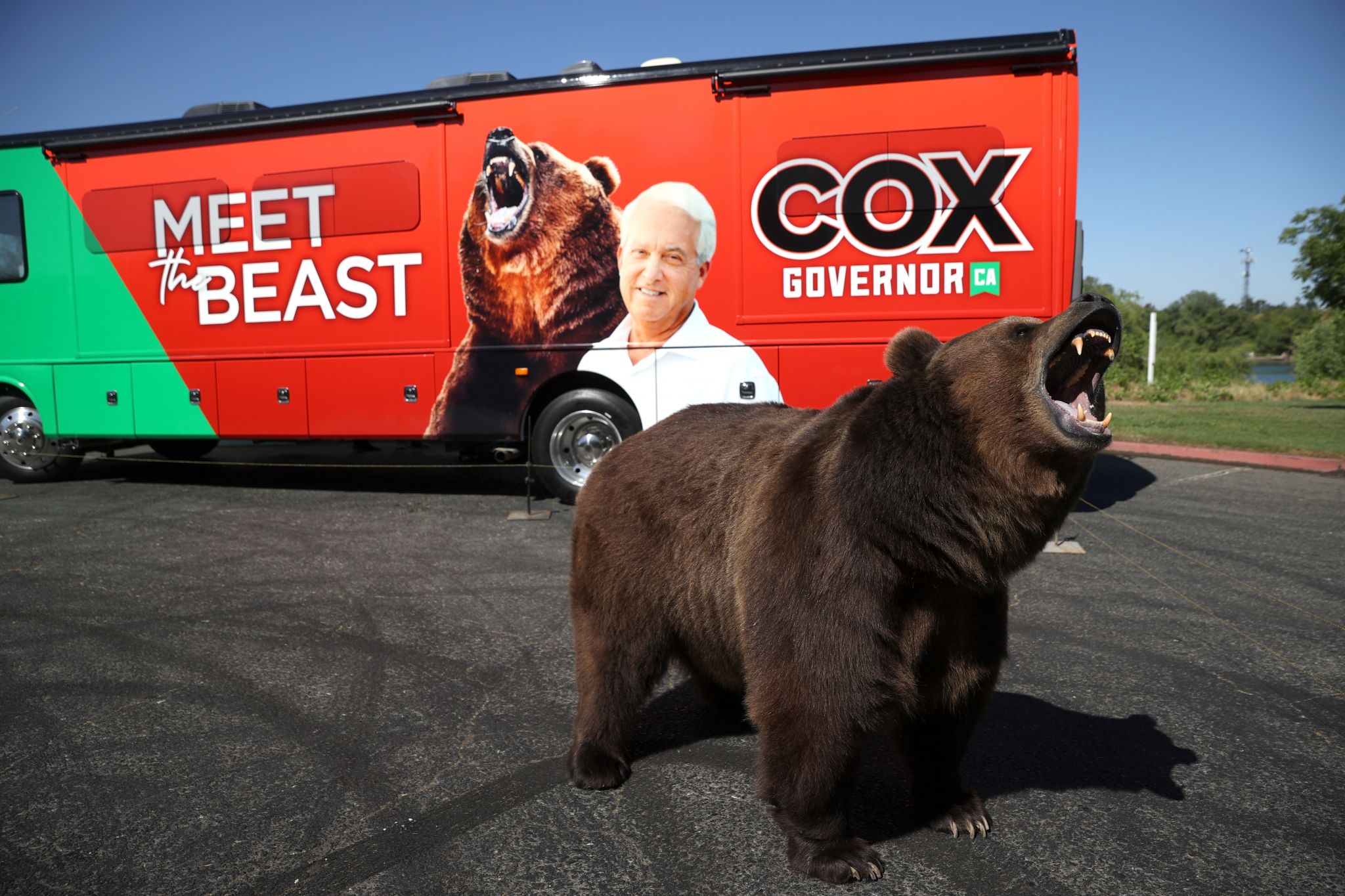 Meet the guy behind John Cox’s 1,000pound bear stunt in the Gavin