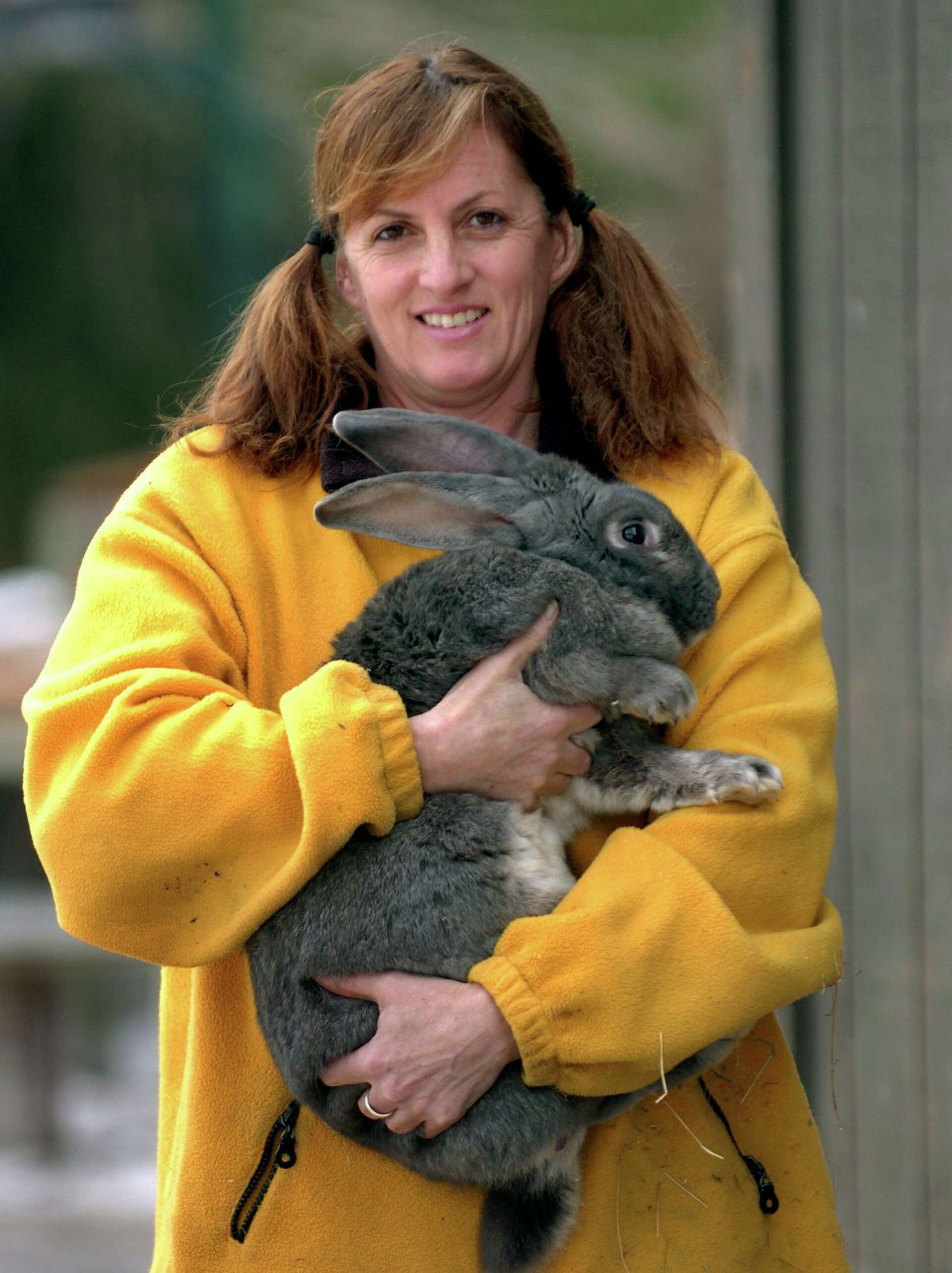 All about the bunnies: Across CT, farm camps offer kids a chance