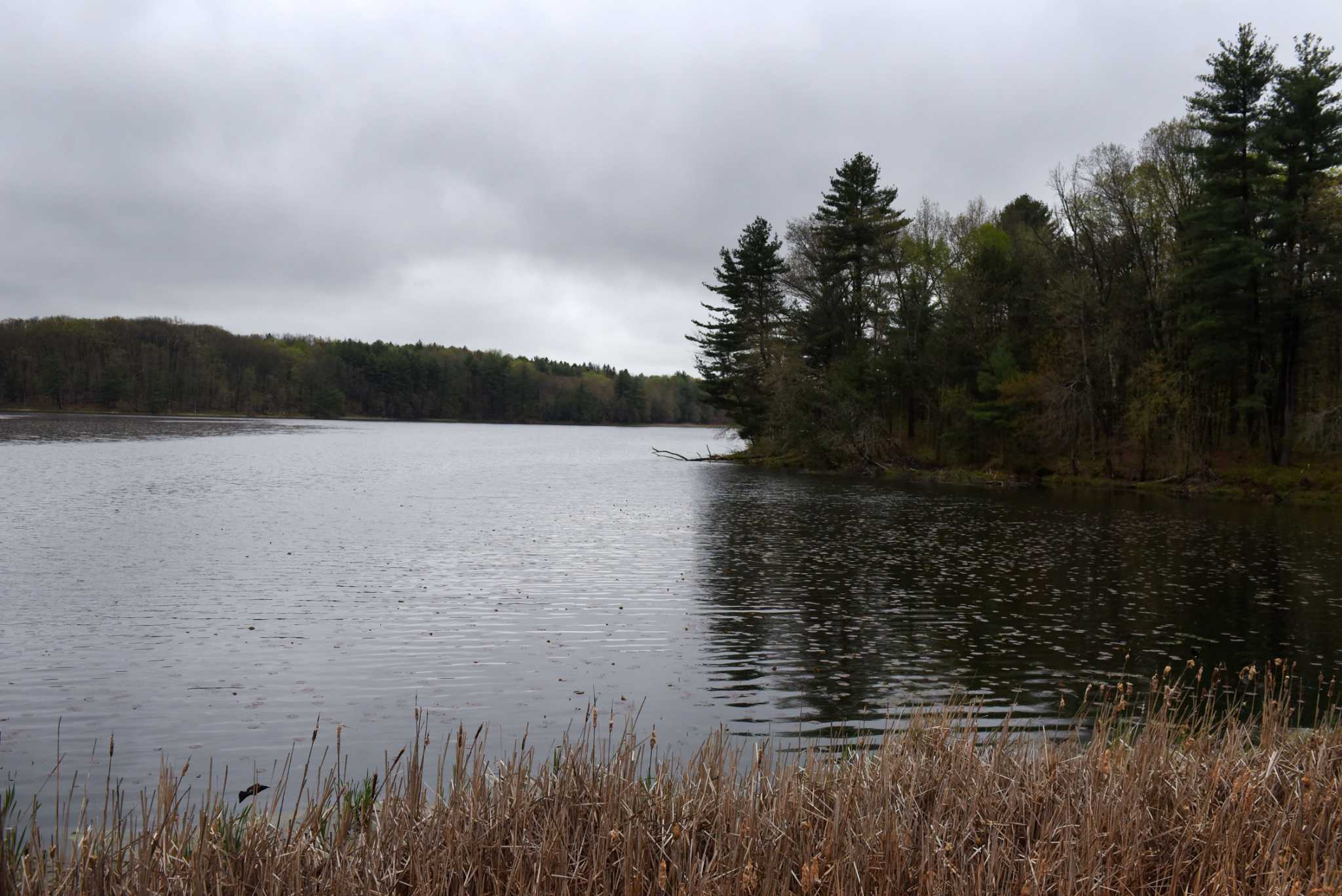 Sale of Colonie reservoir raises concerns for residents, opportunities for Clifton Park - Vimarsana News