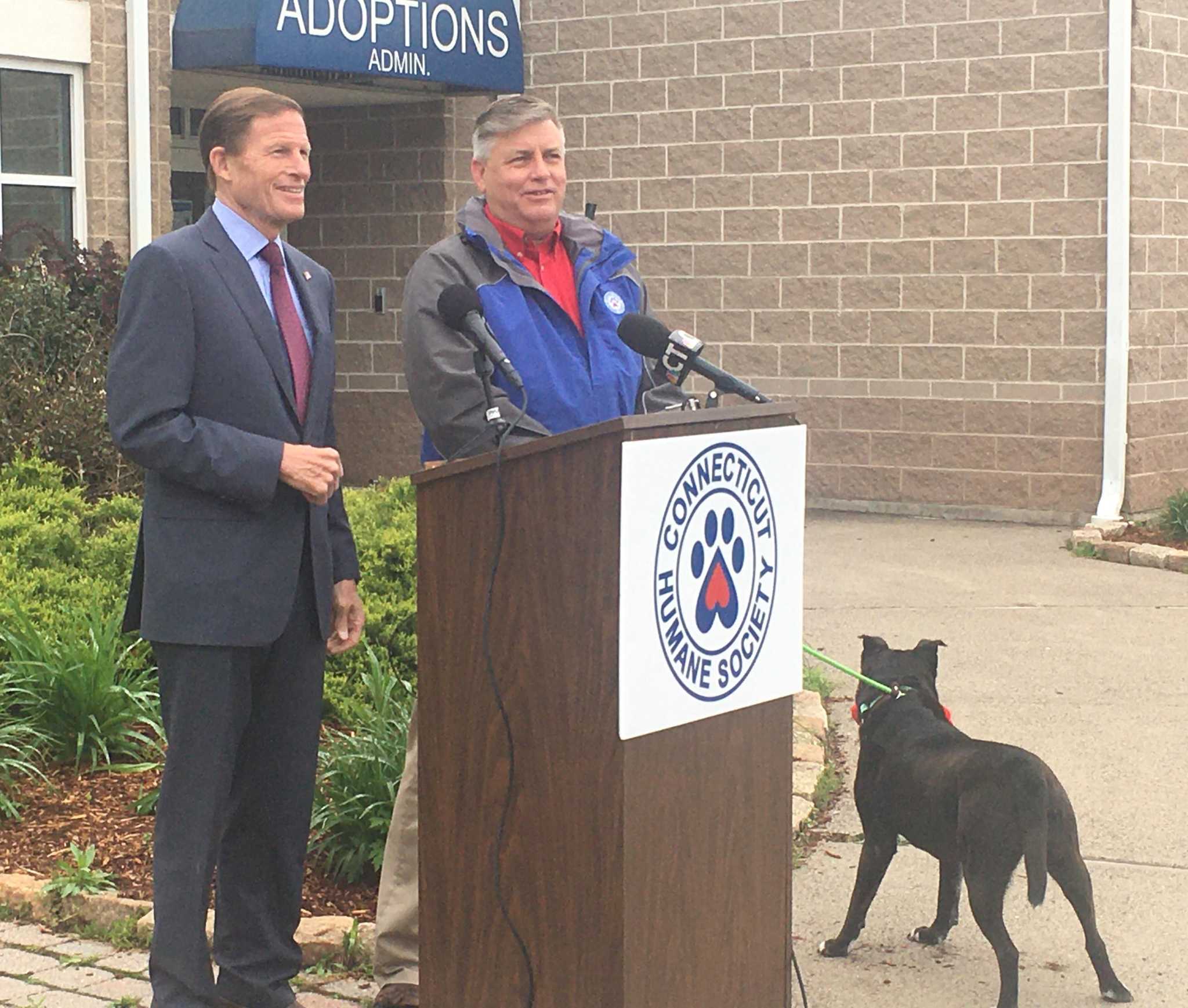 Sen. Blumenthal calls for 'crackdown' on pet scams following Hearst CT investigation