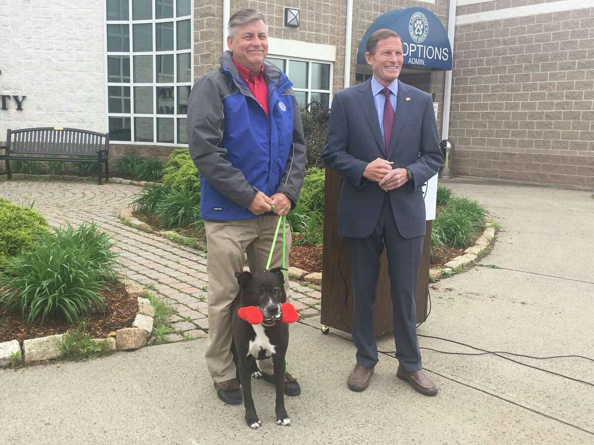 Sen Blumenthal Calls For Crackdown On Pet Scams Following Hearst Ct Investigation