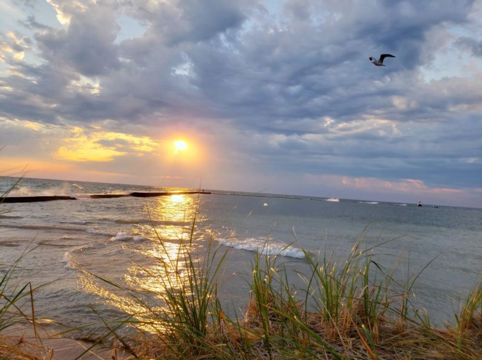 New EPA app aims to help track water quality at beachesThe agency says the web-based app will help communities and “citizen scientists” prot...