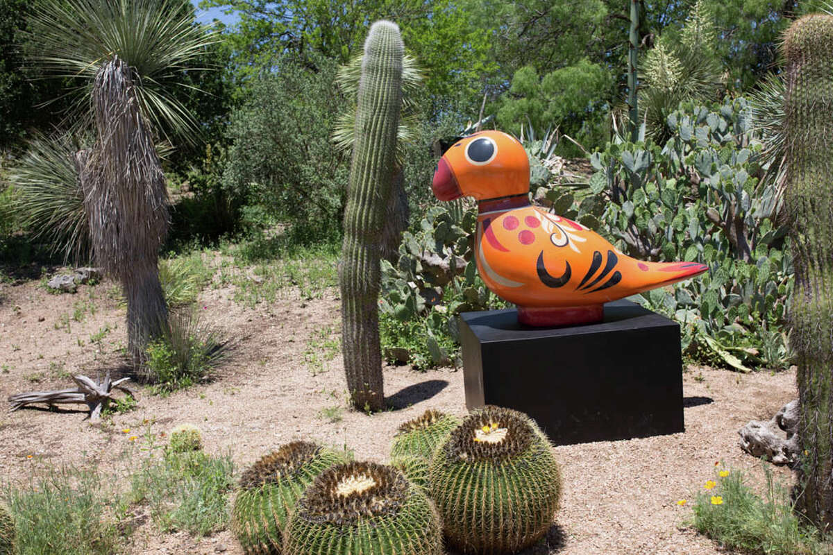 Una vista previa del Oasis de Frida Kahlo en el Jardín Botánico de San Antonio.
