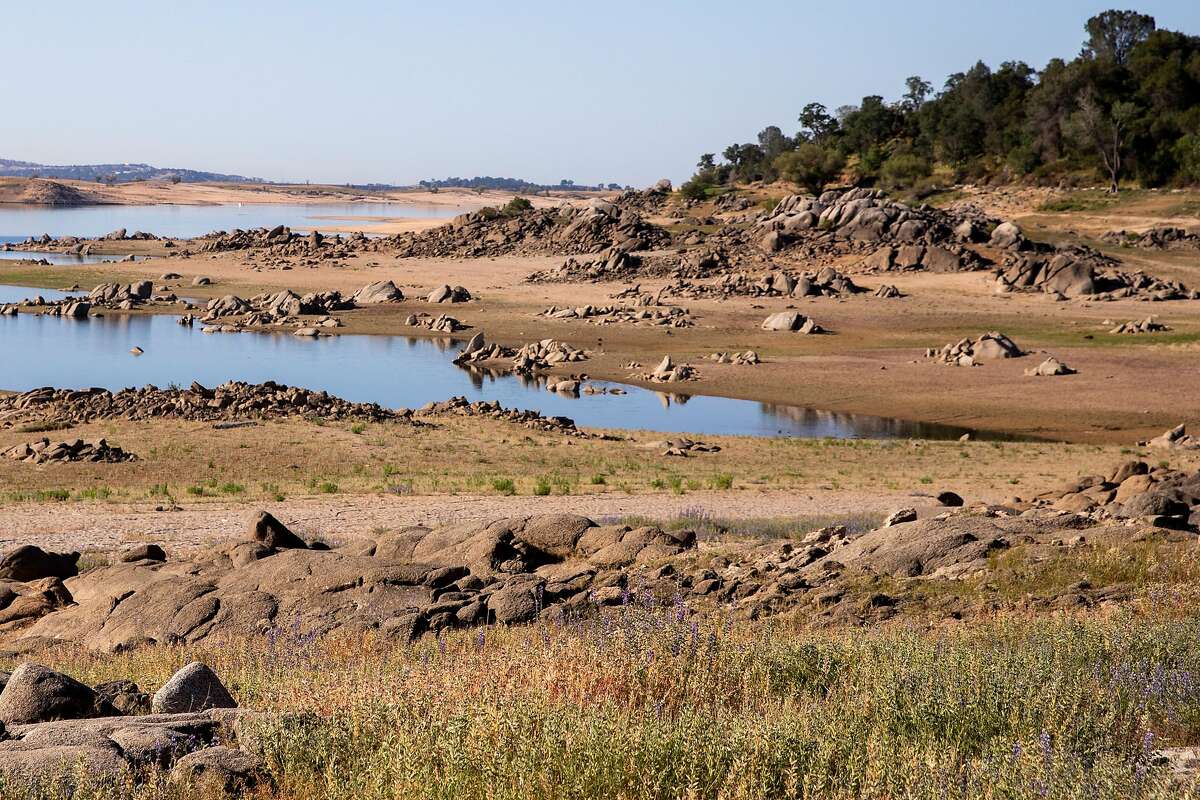 Why this year's Folsom Lake super bloom is so amazingly rare — and