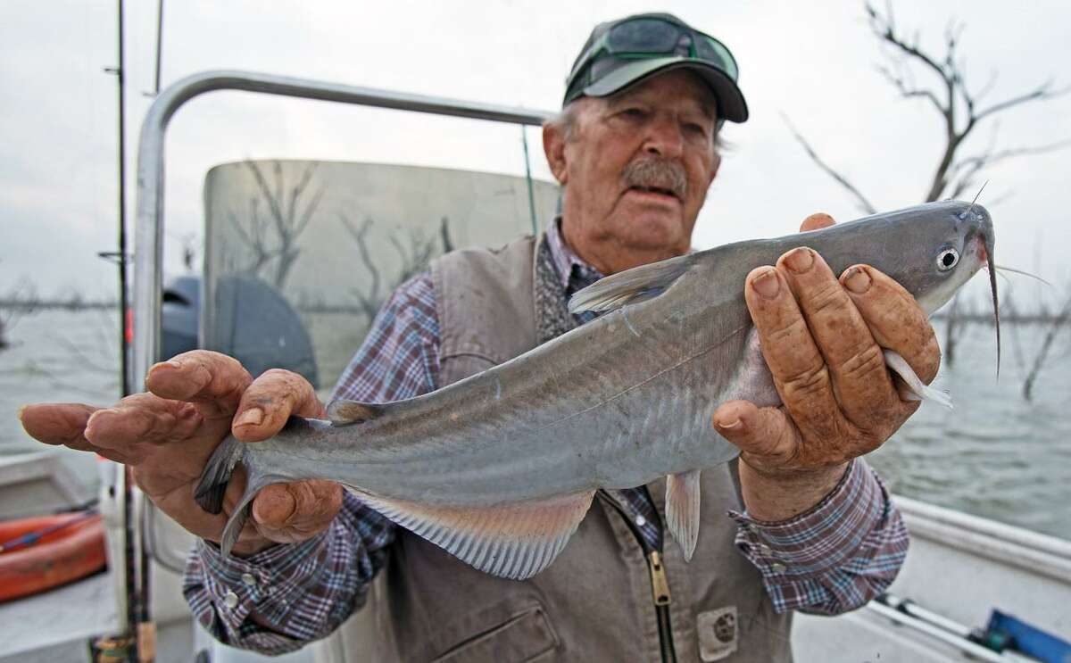 Veteran guide Wallace Gee, who specializes in catfish in shallow water at Choke Canyon Reservoir, displays a three-pound blue catfish.