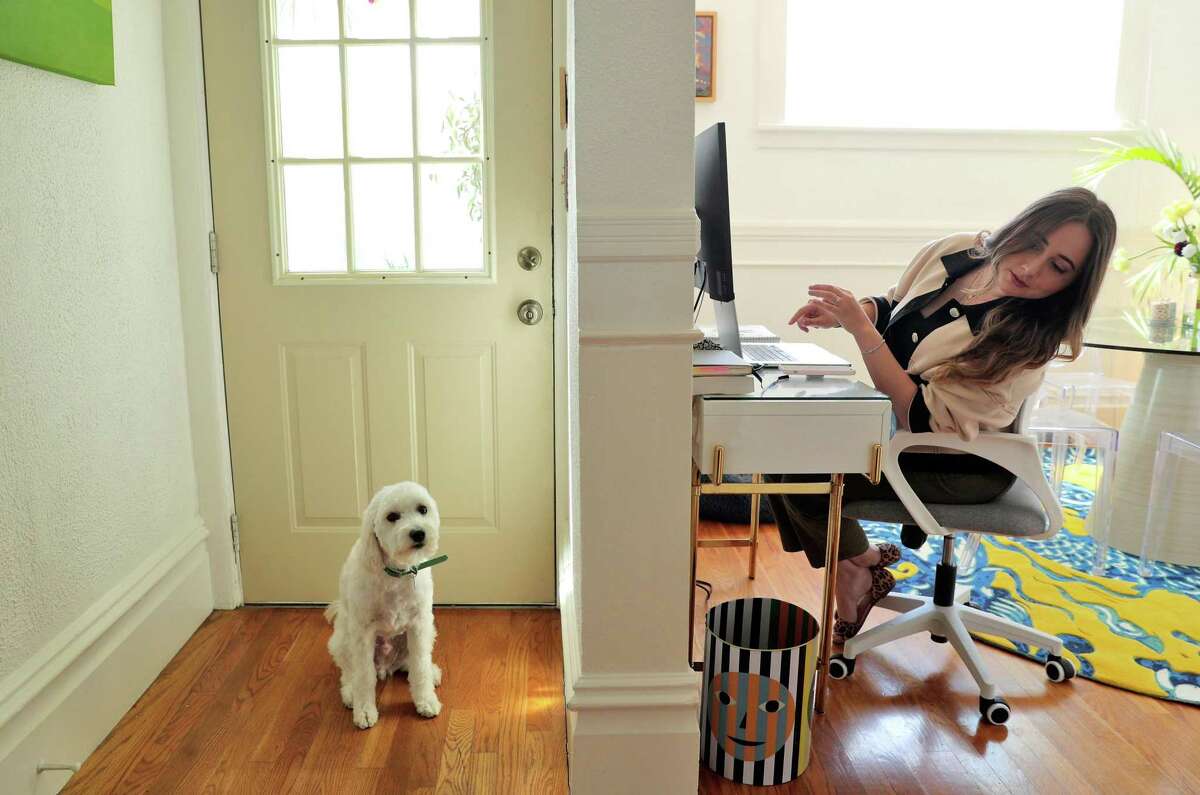 Rira Raisi, working in her San Francisco home during the COVID-19 pandemic, pauses to check on her dog, Pablo. A plurality of workers surveyed wanted to work from home full time.