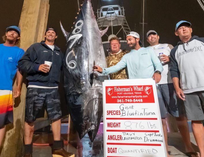 Port Aransas angler sets Texas record for massive bluefin tuna catch - Vimarsana News