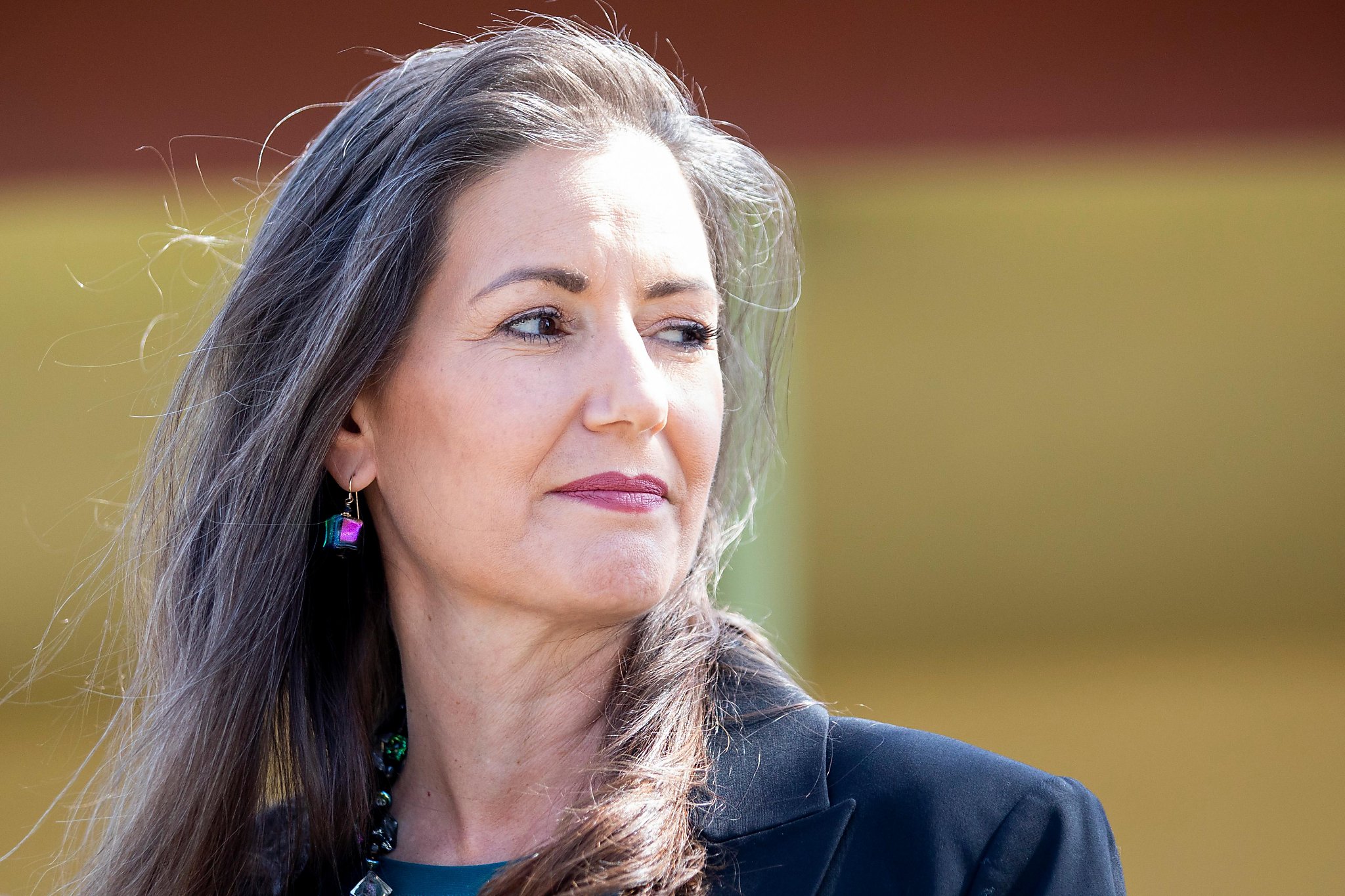 Mayor Schaaf's proposed Oakland budget boosts homelessness spending but doesn't cut police - Vimarsana News