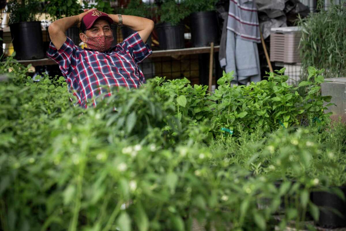 Diego Perez sits in his booth filled with plants at The Houston Farmer's Market Monday, May 3, 2021 in Houston. Construction on the revamped site is finished and vendors have begun moving in. The location will also include restaurants and a green space next to the market.