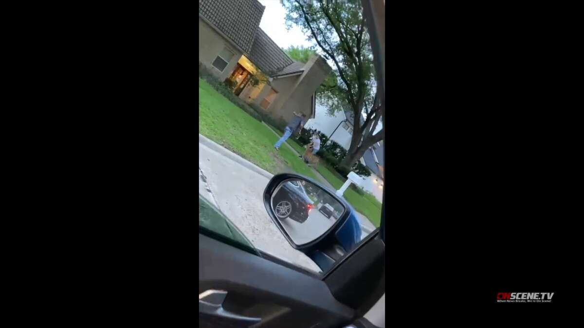 A resident of a west Houston neighborhood on Sunday night reported a loose Bengal tiger lying in a front yard in May 2021.