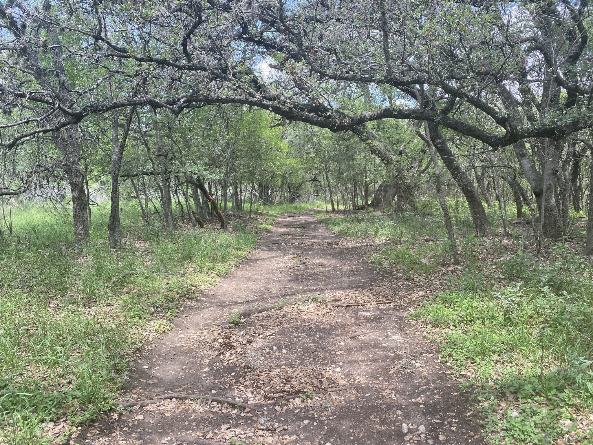 Things to know about trails at McAllister Park in San Antonio