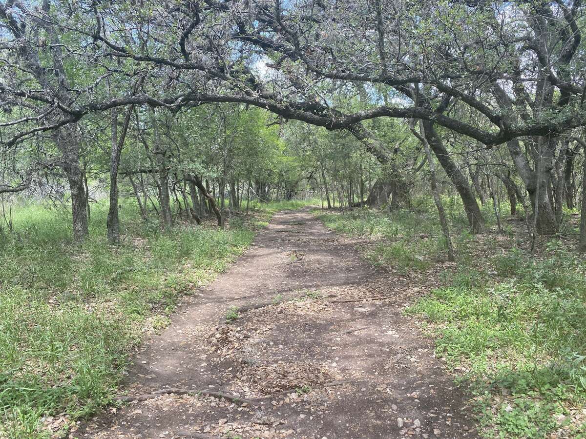 The Mud Creek trail is a 2-mile stretch of shaded and peaceful expanse, often hard to find in the Northeast Side park filled with pickup basketball games, barbecues and cyclists.