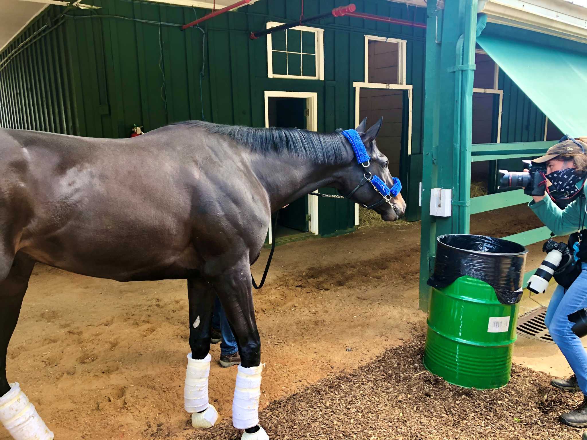 Medina Spirit To Run In Saturday S Preakness