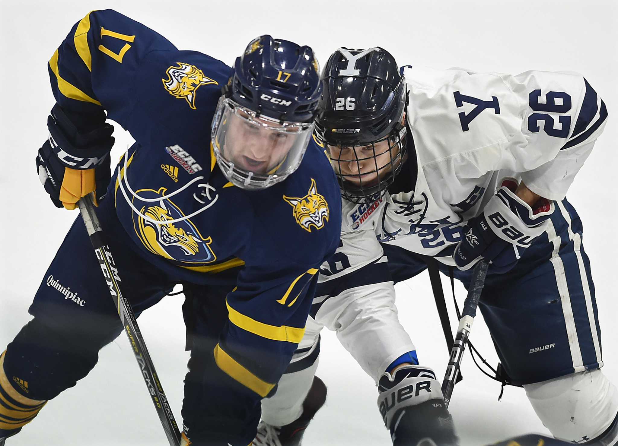ECAC hockey schedules Quinnipiac, Yale to renew rivalry early in 2021