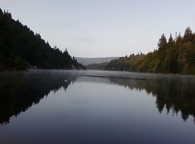 Untouched by fires, Loch Lomond is one of Bay Area's prettiest parks. Good fishing too - Vimarsana News
