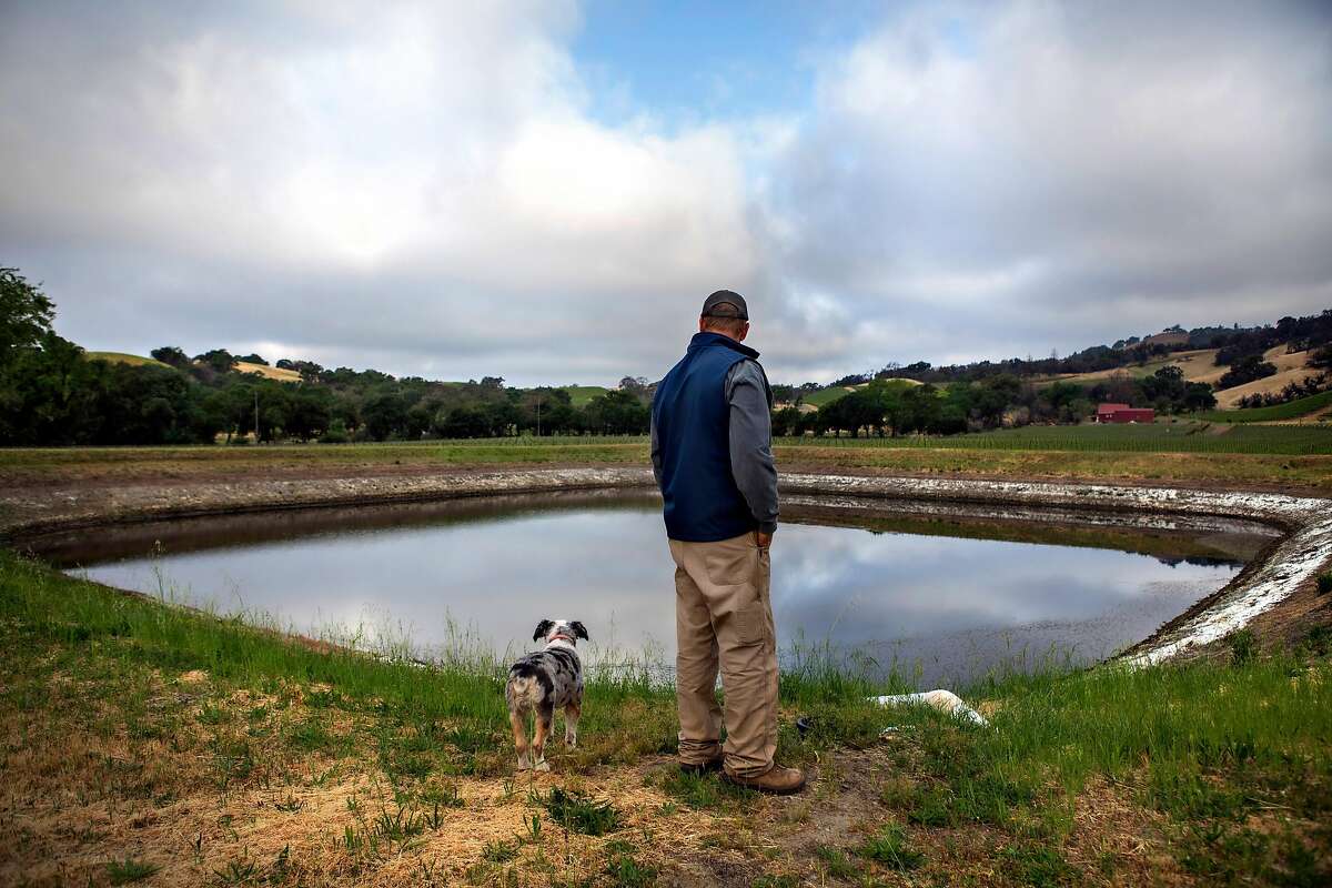 Bret Munselle, vineyard owner and manager of the Munselle Vineyards, with his dog, Truckee, next to one of his reservoirs that's drying up in Geyserville, California May 6, 2021.