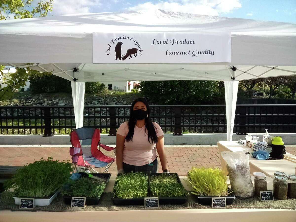 The farmers market at Franklin Plaza is held from 4-7 p.m. on Thursdays. Above, Casi Parasio Organics sells herbs from their vendor space.