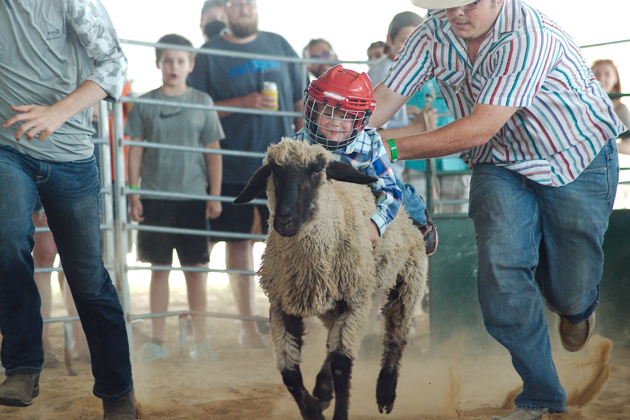 Scenes from the Pasadena Strawberry Festival