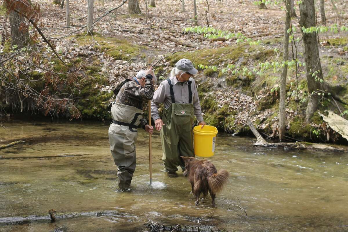 Volunteers donned waders and sifted through muck Saturday to collect macroinvertebrates at various sites in the Lower Manistee River Watershed as part of the Manistee Conservation District's stream monitoring program.
