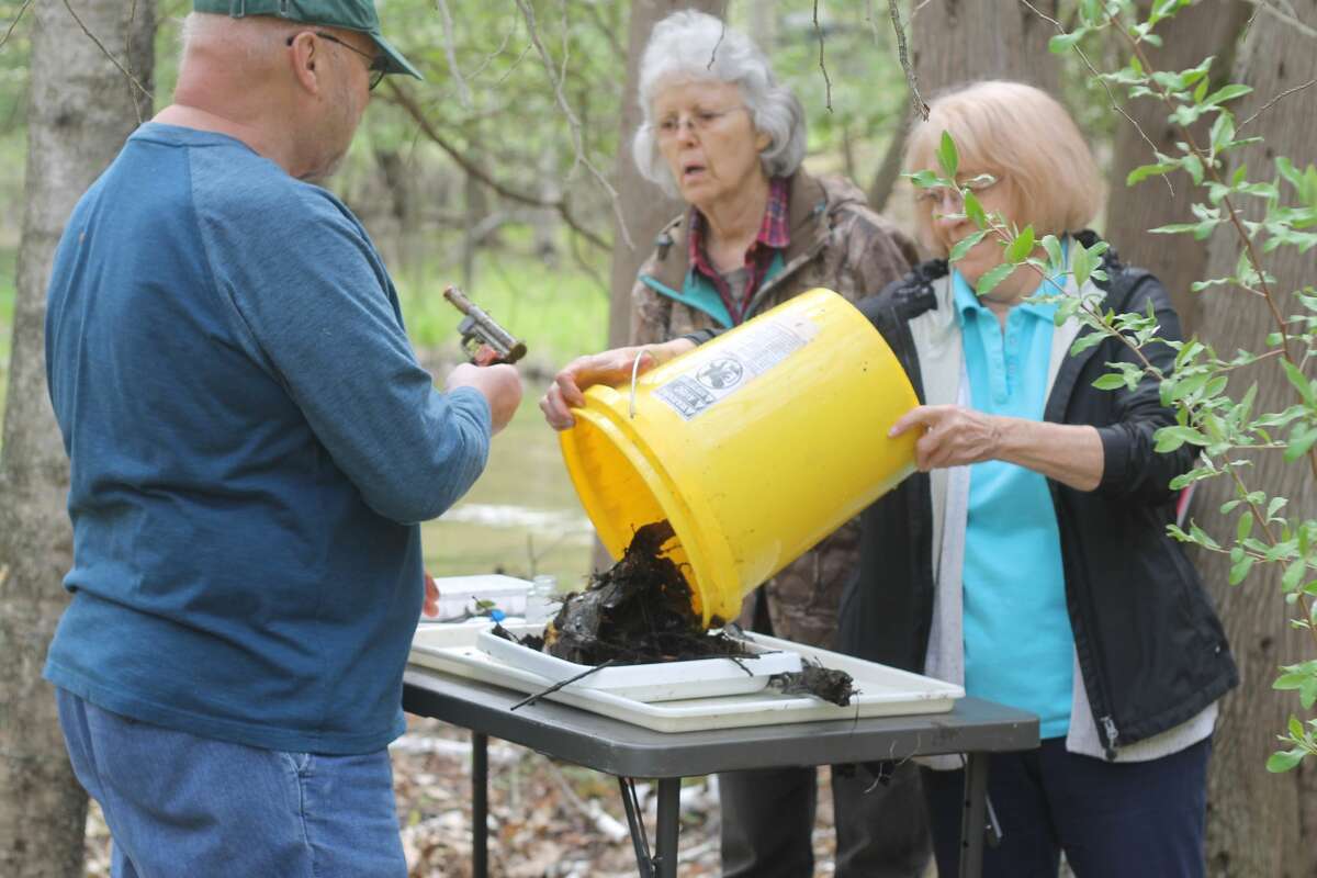 Volunteers donned waders and sifted through muck Saturday to collect macroinvertebrates at various sites in the Lower Manistee River Watershed as part of the Manistee Conservation District's stream monitoring program.