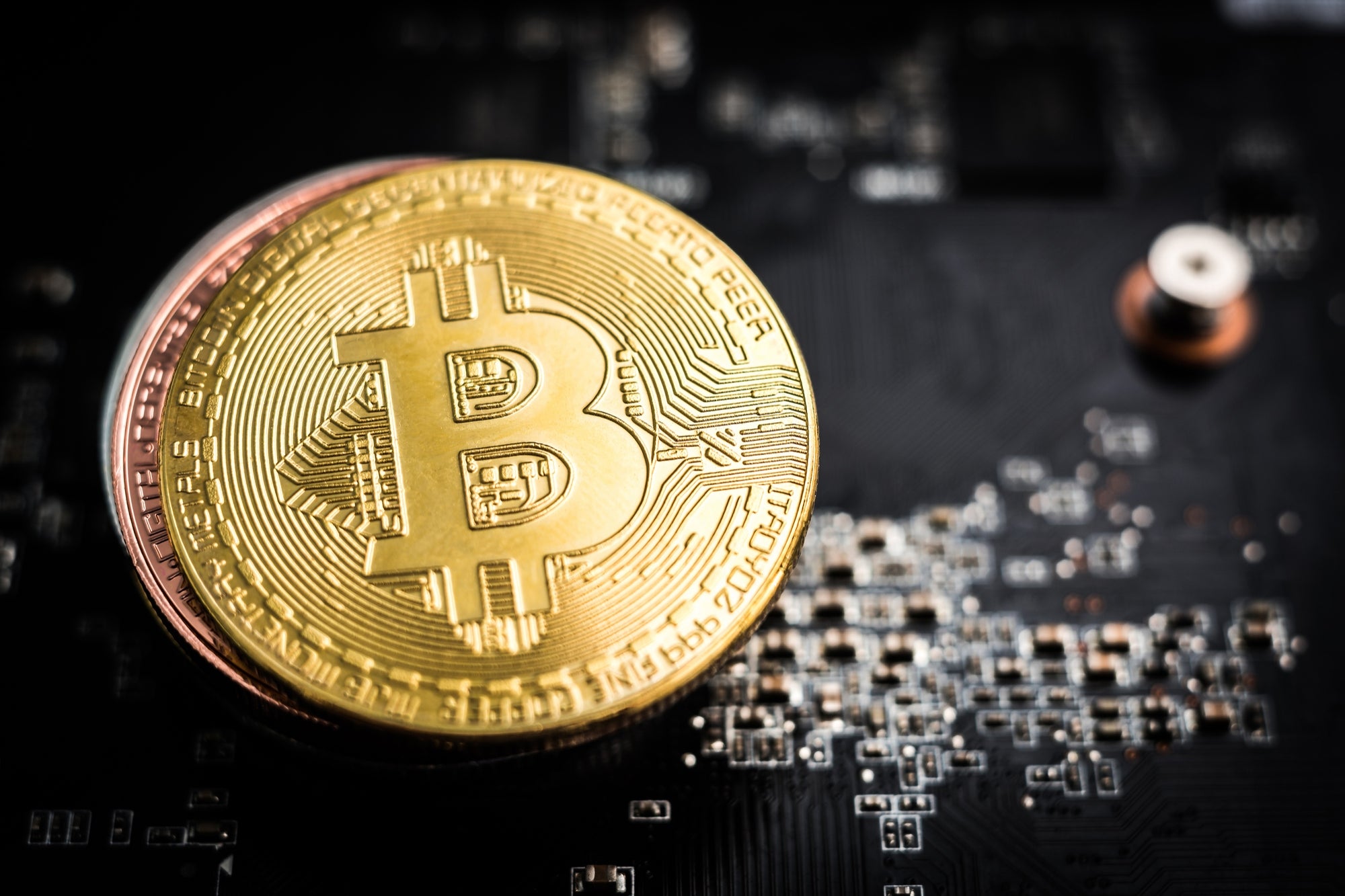 Elon Musk comments bring bitcoin down, then lift it up