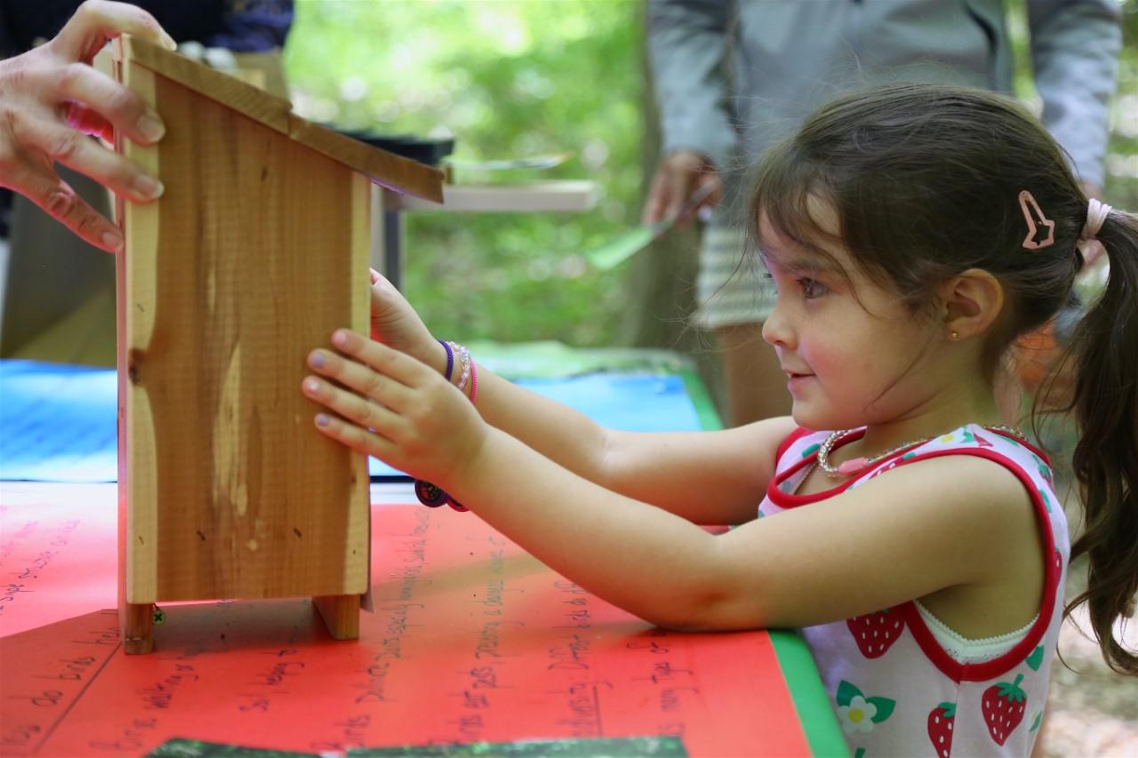 Adventure Day at Darien's Selleck's Woods brings out first-timers, repeat visitors - Vimarsana News
