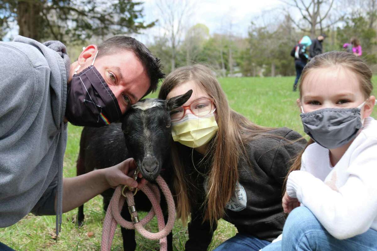 ‘Goats are the next dog’ From yoga to landscaping, humans and goats