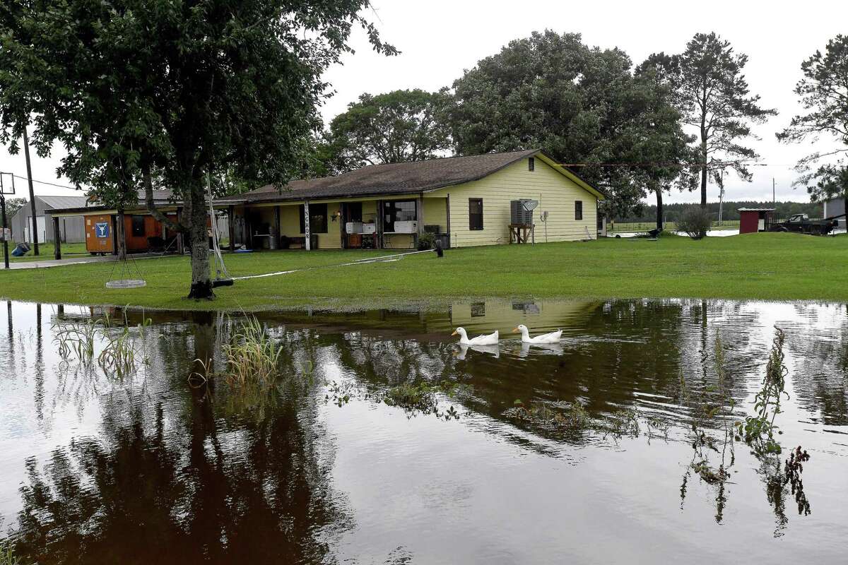 Ducks swim in the flooded front yard of a home on Boyt Road. in Fannett Tuesday. The area received over a foot of rainfall Monday, flooding area bayous and several yards and homes. Photo made Tuesday, May 18, 2021 Kim Brent/The Enterprise