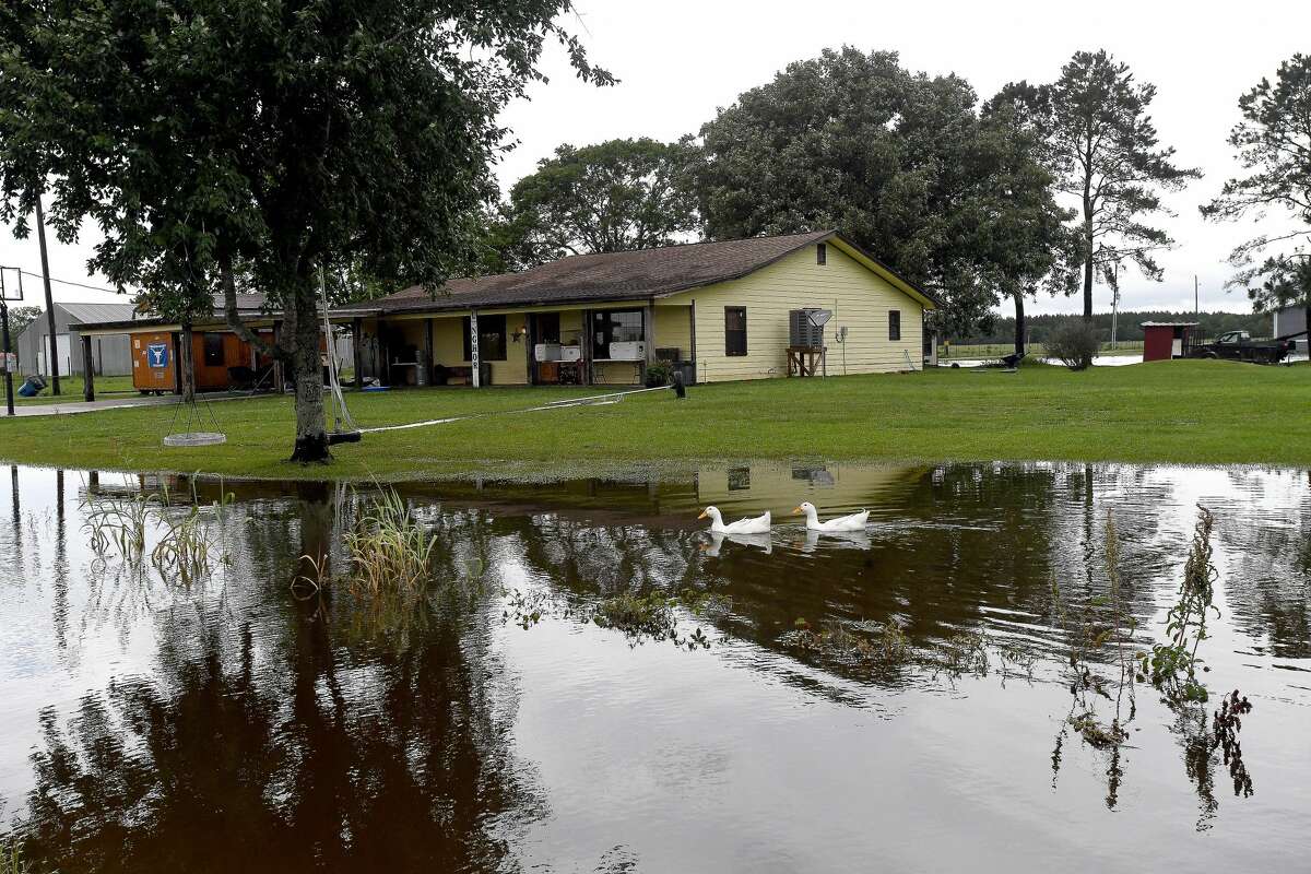 Ducks swim in the flooded front yard of a home on West Clubb Road in Fannett Tuesday. The area received over a foot of rainfall Monday, flooding area bayous and several yards and homes. Photo made Tuesday, May 18, 2021 Kim Brent/The Enterprise