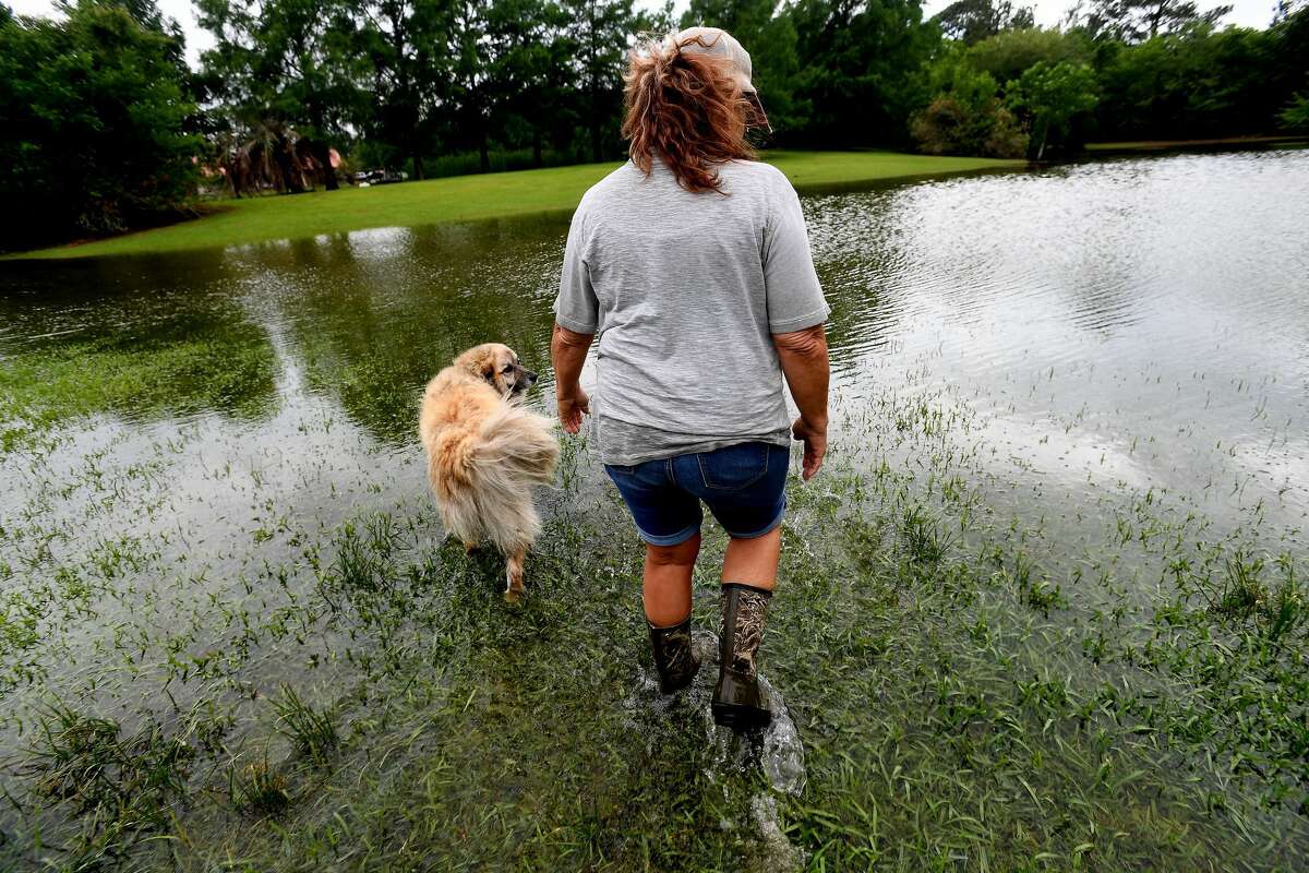 Julie Meadows walks through her flooded yard at her home on West Clubb Road in Fannett Tuesday. The area received over a foot of rainfall Monday, flooding area bayous and several yards and homes. This is the third time Meadows' home has flooded, and she believes a drainage ditch at the back of her property, which is overgrown and has been neglected for years, is largely to blame. Photo made Tuesday, May 18, 2021 Kim Brent/The Enterprise