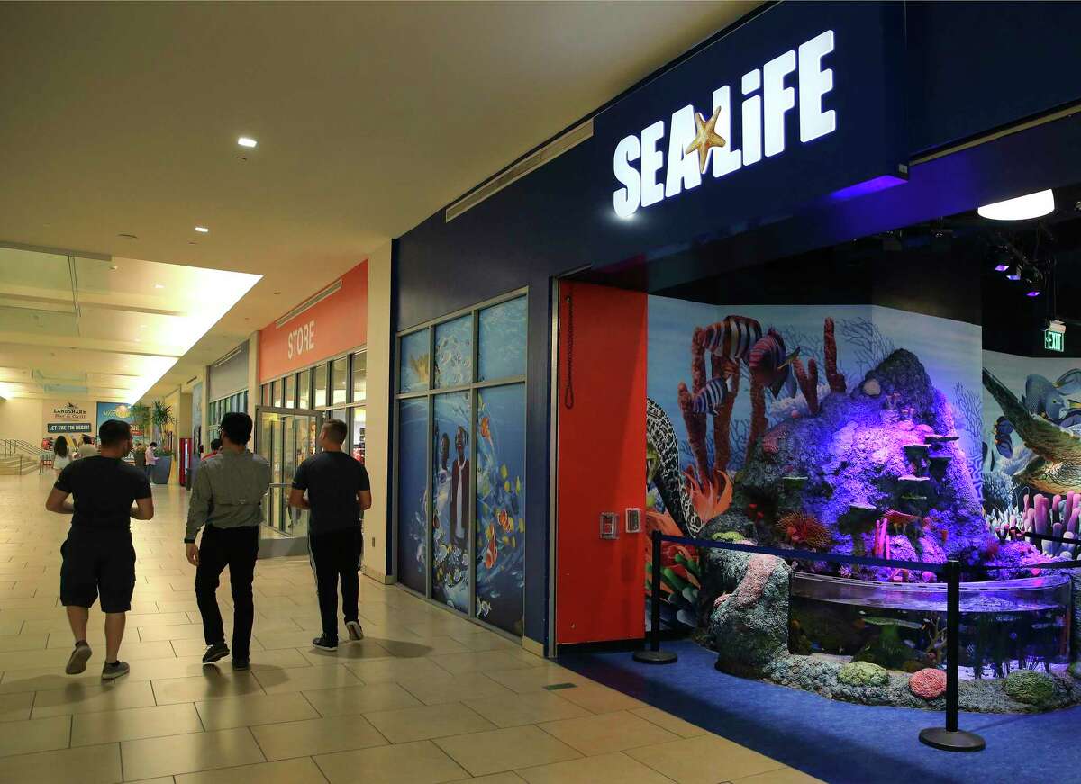 First Look Sea Life San Antonio Aquarium Opens Tuesday At The Shops At   1200x0 