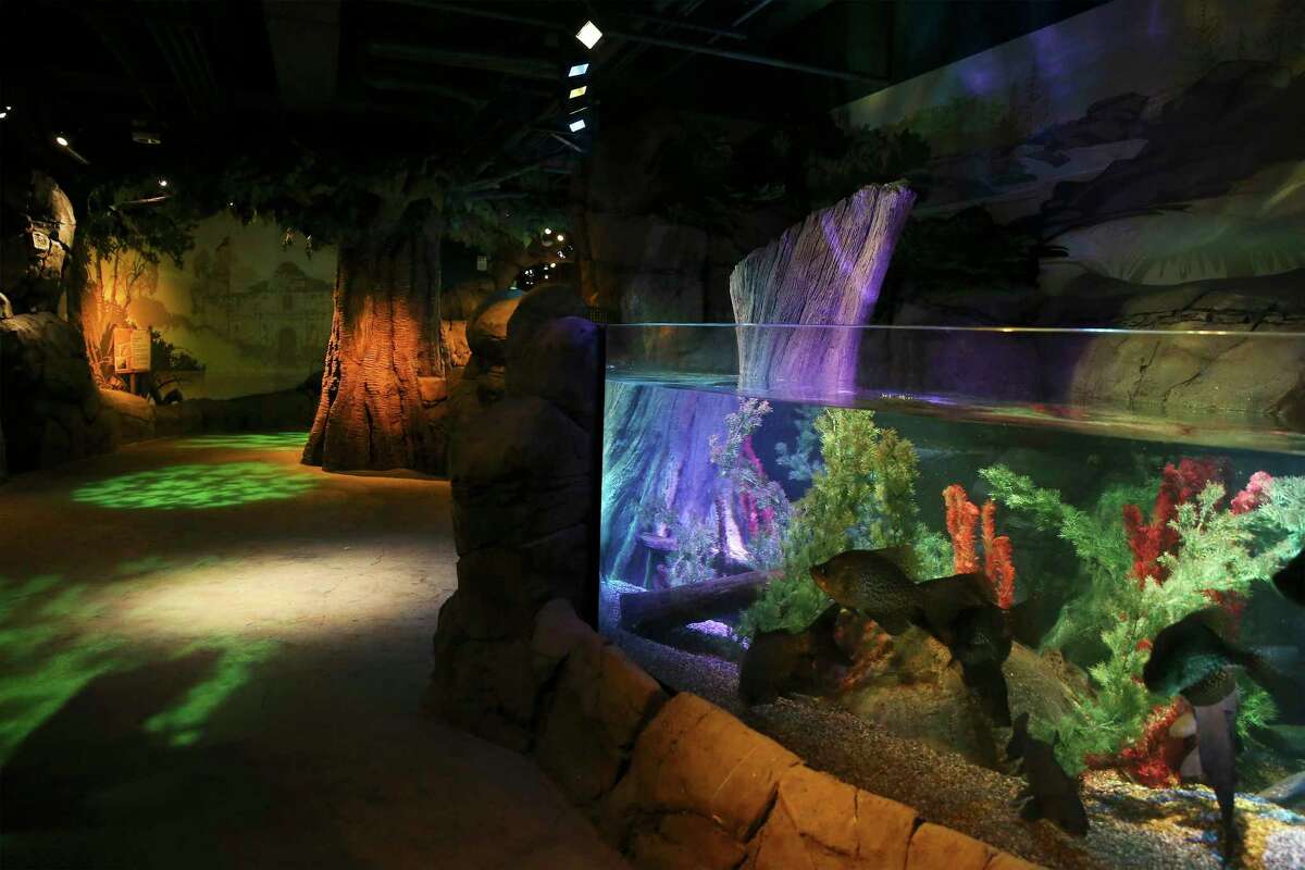 First Look Sea Life San Antonio Aquarium Opens Tuesday At The Shops At   1200x0 