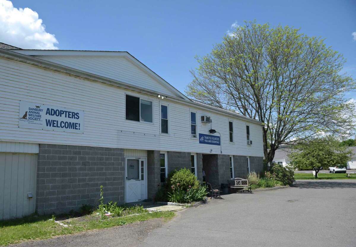 The Danbury Animal Welfare Society at 147 Grassy Plain St. in Bethel, Conn., is looking to renovate its facility.