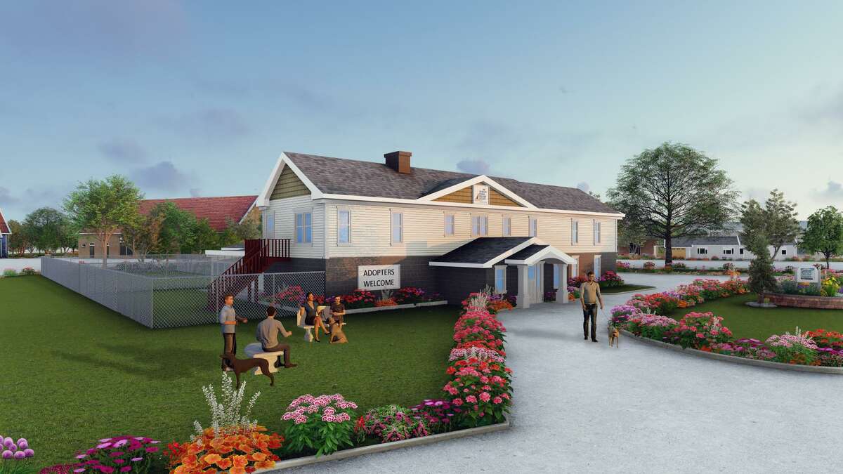 Conceptual rendering for the renovation at the Danbury Animal Welfare Society, Grassy Plain St. in Bethel, Conn. Updated renderings and information can be found at renovation.daws.org.