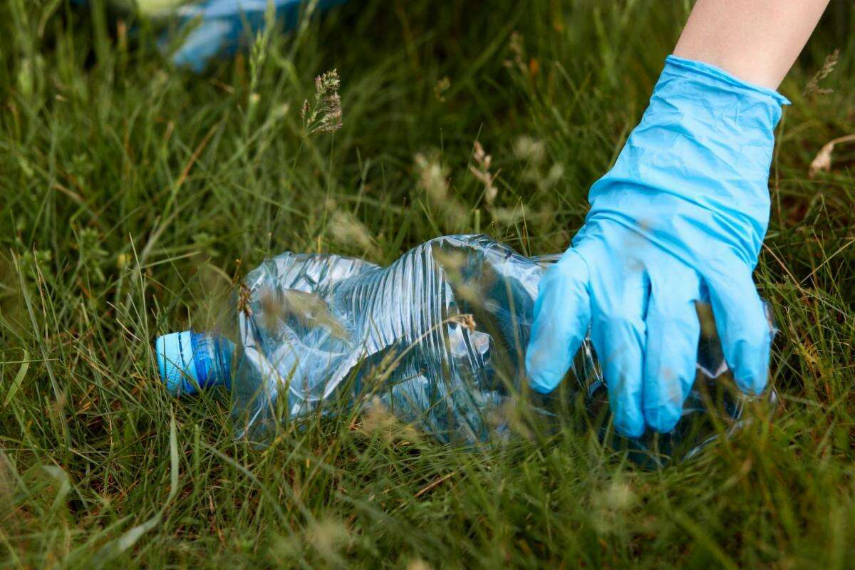 Wilton is having a town-wide cleanup on Saturday, May 29, 2021, from 9 a.m. to noon, according to information from the non-profit organization Wilton Go Green.
