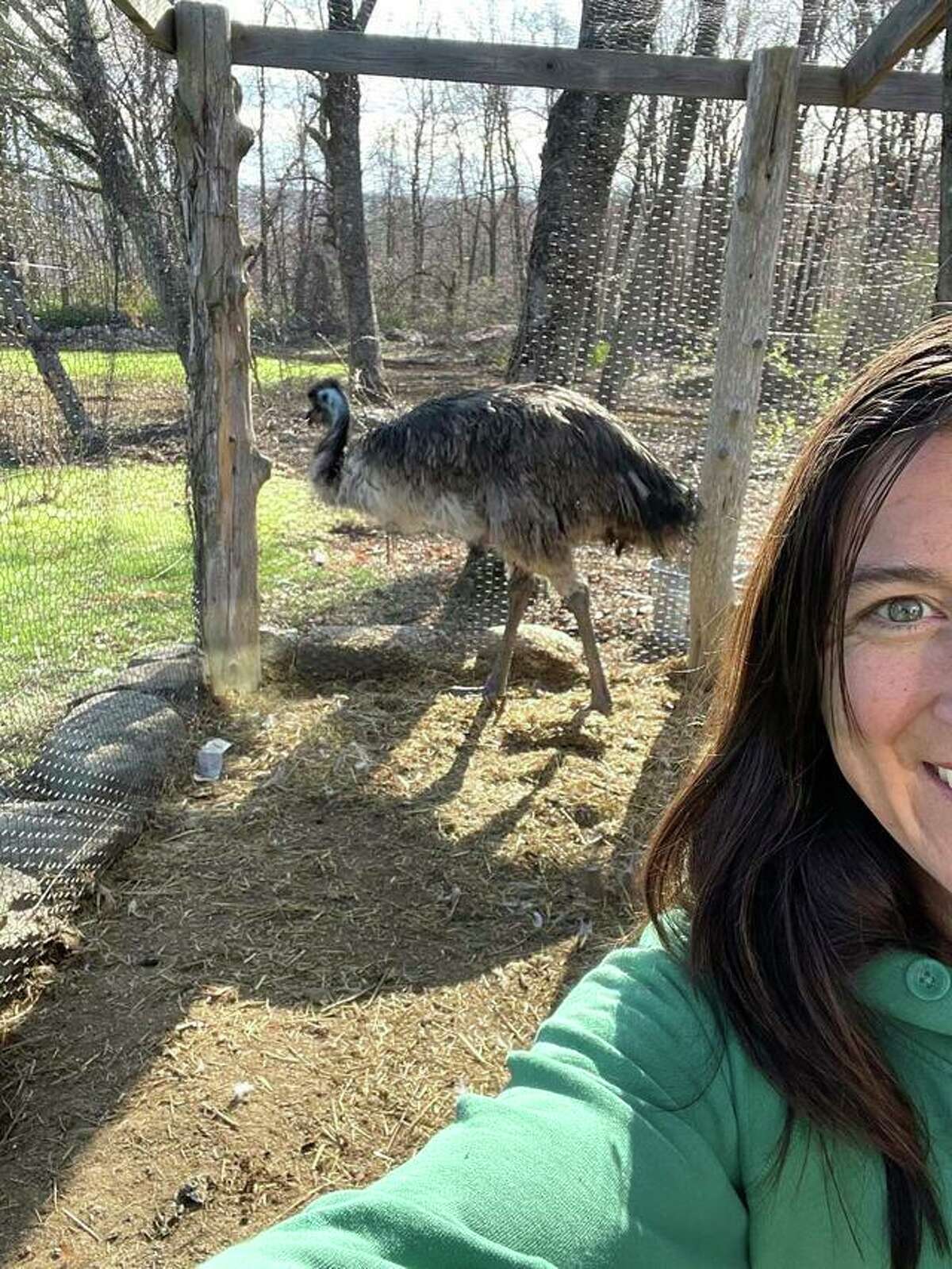 Oxford resident Jen Rich guided a stray emu to the chicken coop in her backyard before the owner was located on Facebook.