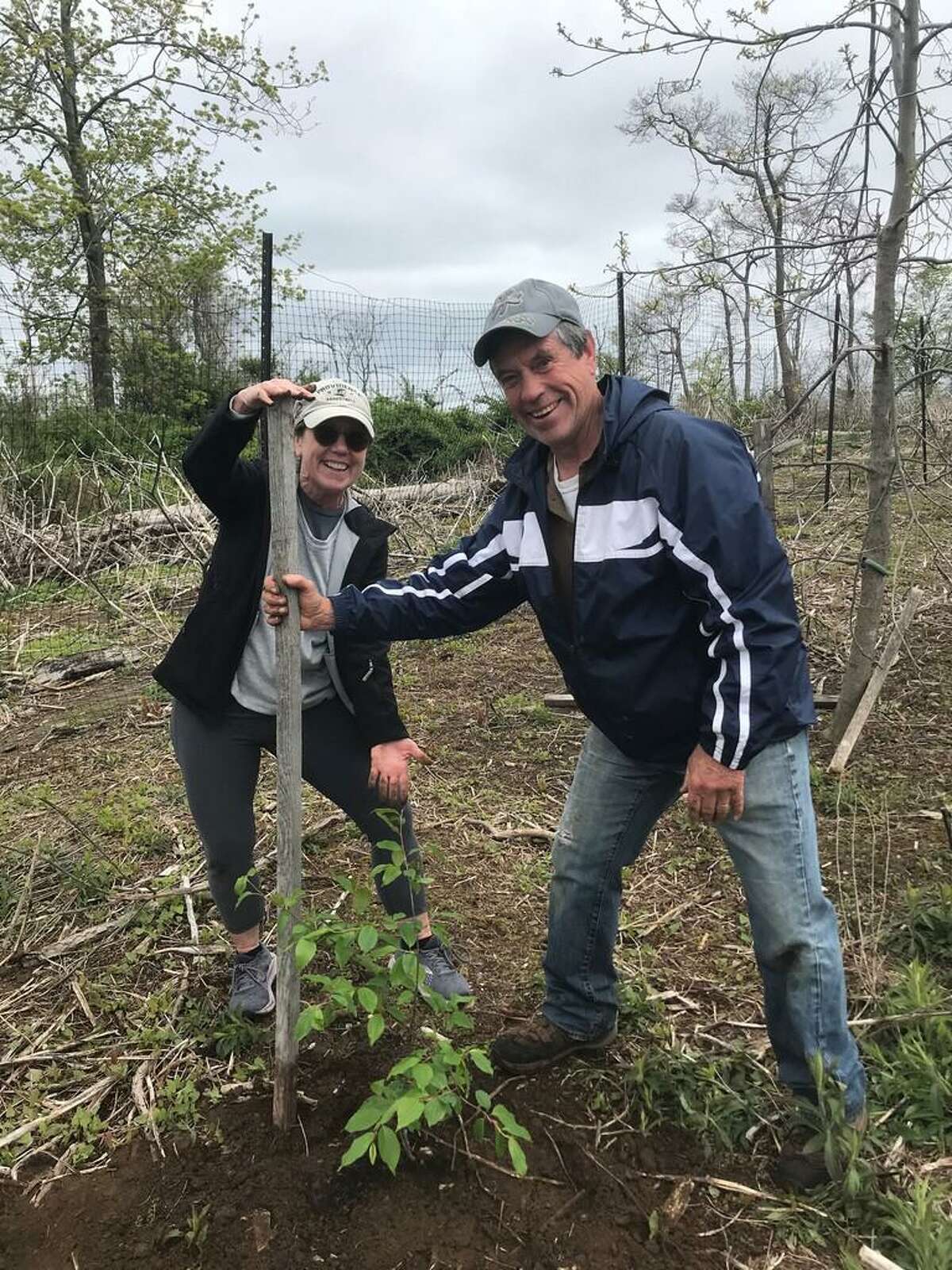 Mary Kay Dupont (left) and Bill Pursell plant a native black cherry tree on Charles Island.