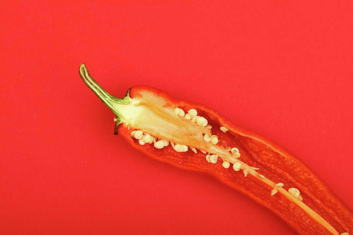 The pithy white membranes inside a chile contain up to 90 percent of the pepper’s capsaicin.