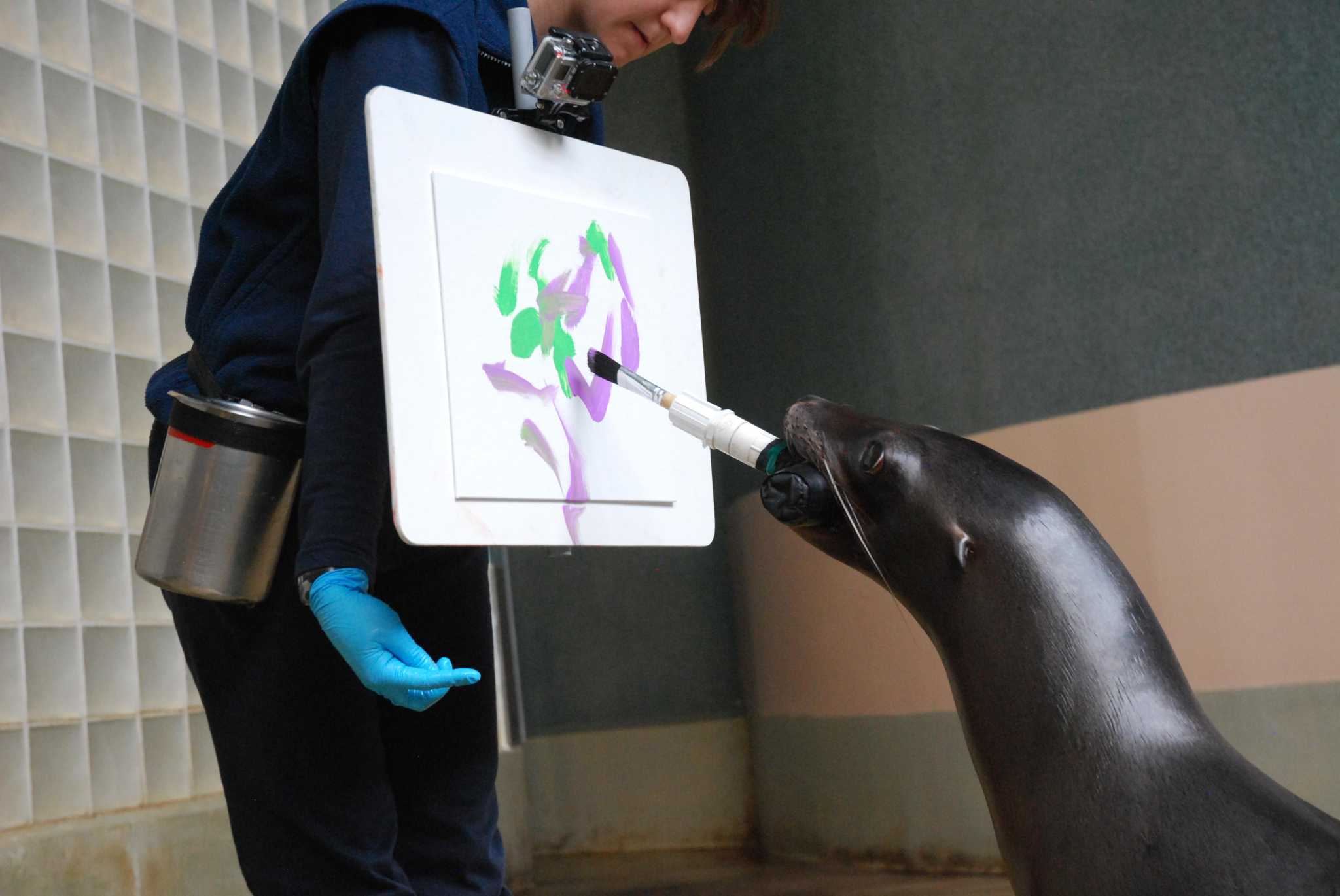Go to Mystic Aquarium for the sea lions. Leave with a painting you made together. - Vimarsana News