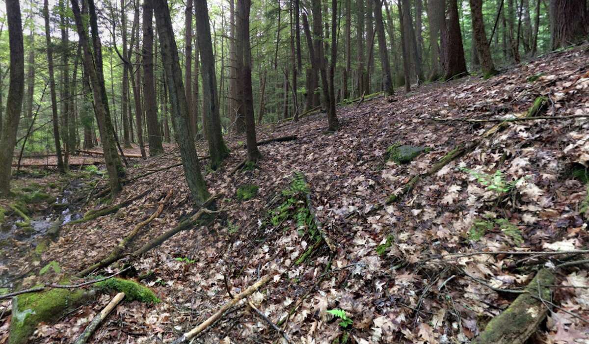 Mashamoquet Brook State Park, Pomfret