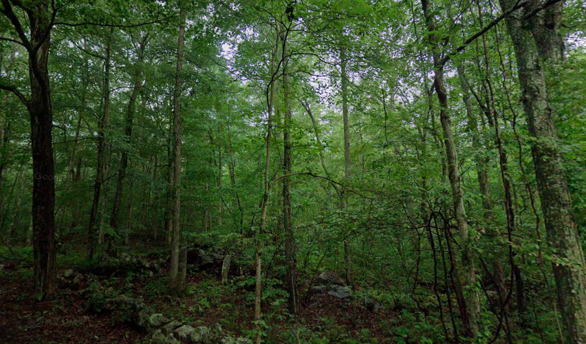 Report: Missing swimmer at Lyme's Uncas Pond - Vimarsana News