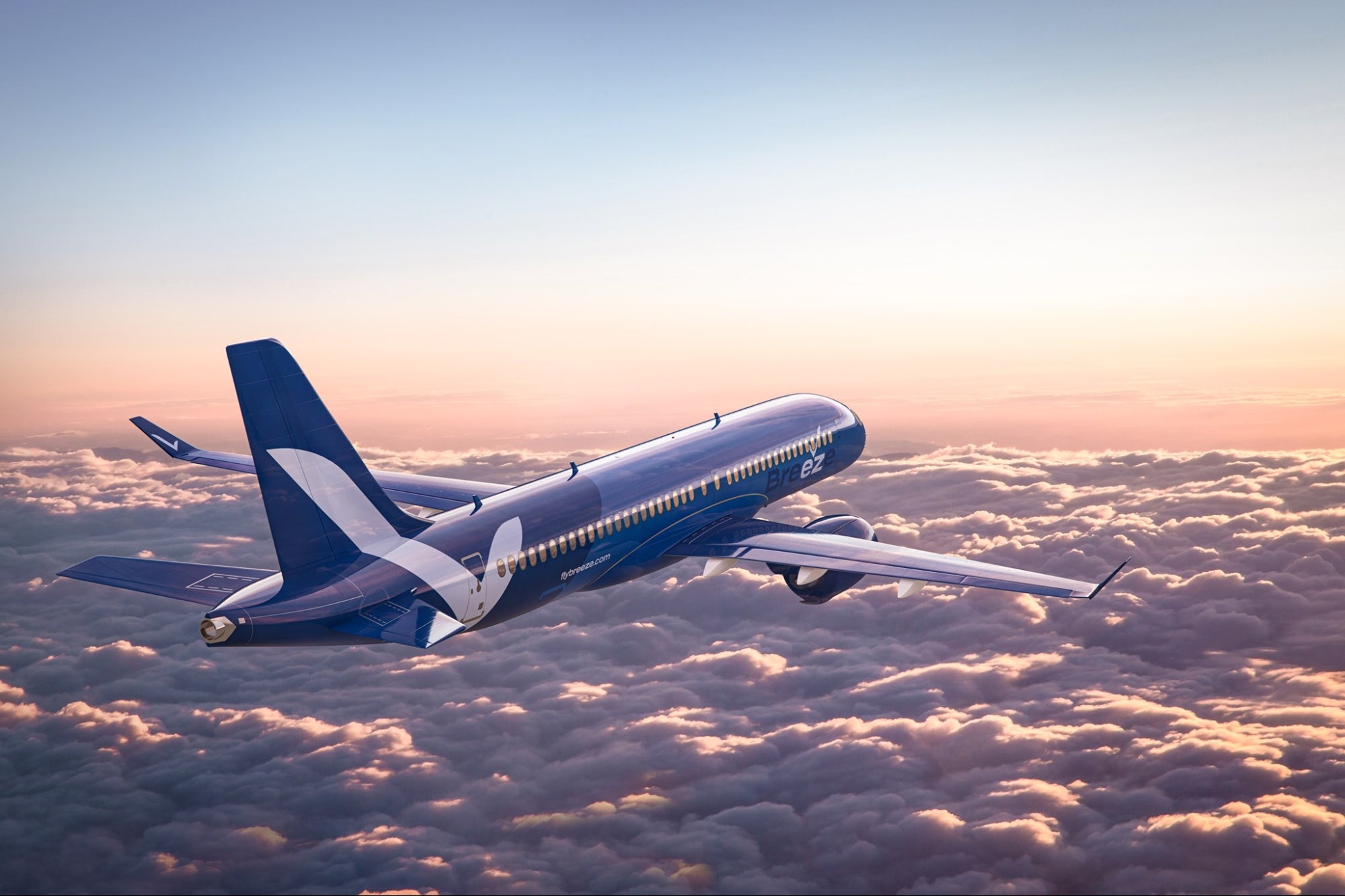 10+ Airline animal hospital info