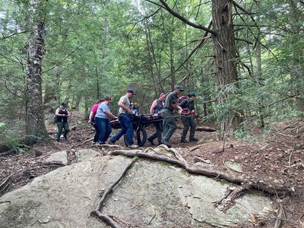 Forest, park rangers could carry epi pens under bill awaiting Cuomo signature - Vimarsana News