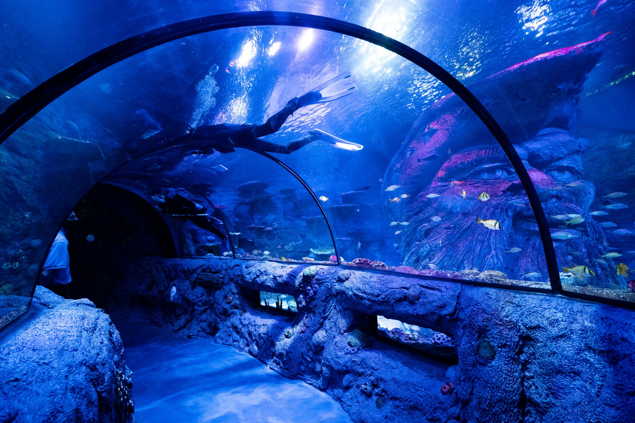 SEA LIFE, the new aquarium at The Shops at Rivercenter, is now open