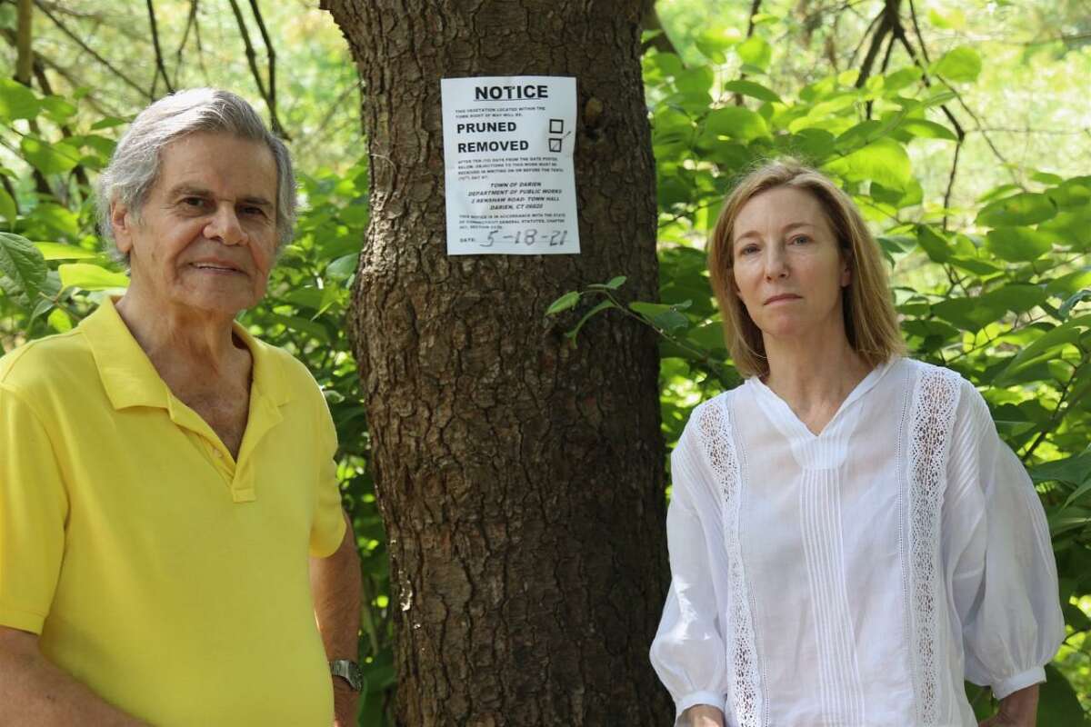 Residents Henry Nisimblat and Natalie Tallis are among the neighbors opposed to the tree removal on their block in Darien.