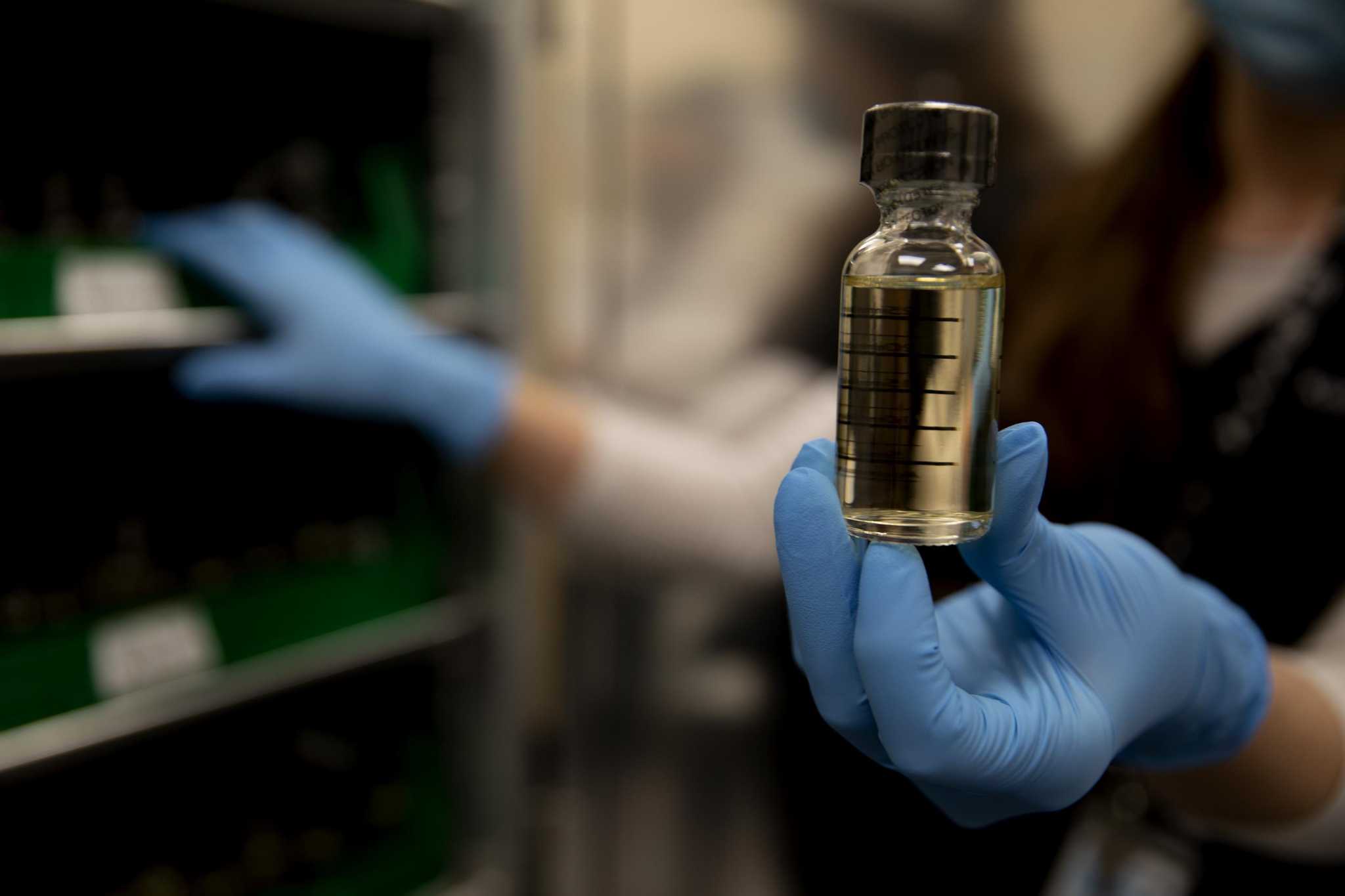 Texas medical marijuana expansion scaled back by Senate - Vimarsana News